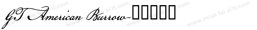 GT American Burrow字体转换